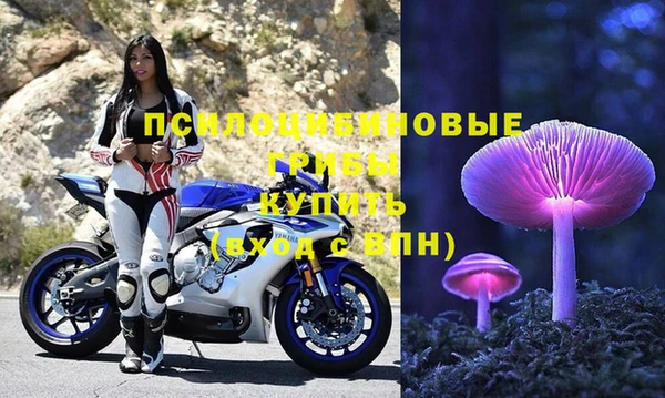 дмт Нязепетровск