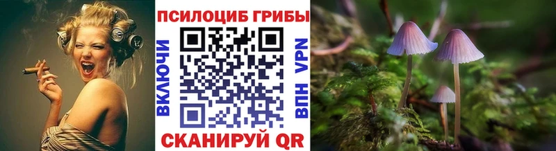Псилоцибиновые грибы Psilocybine cubensis  mega tor  Ивдель 
